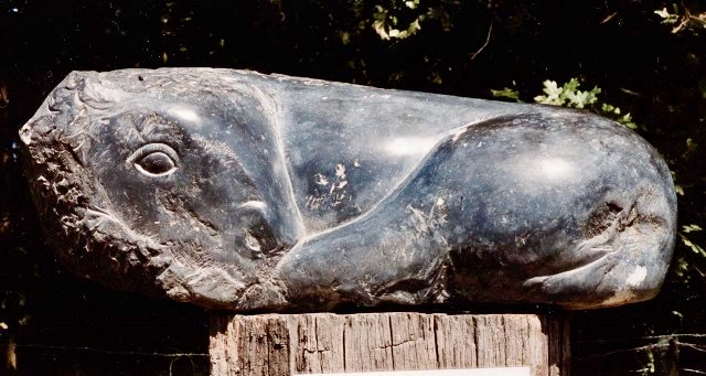 Jonge Bison — dark stone