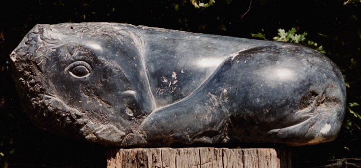 Jonge Bison — Eddy Gheress